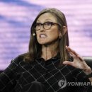 브라보언니