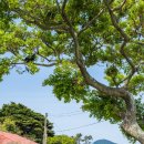 진막마을회관 이미지