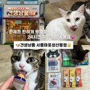 견생냥품 무인24시 서울 상계역점 | 언제든 편하게 방문할 수 있는 24시 무인 애완동물용품점 : ‘견생냥품’ 마포성산동점 방문 후기