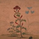 신사임당 이미지