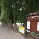 소호분교초등학교 이미지