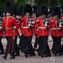 英왕실 근위병 상징 흑곰 털모자 논란…&#34;인조로 바꿔야&#34; 이미지