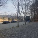 남이섬힐링캠핑장 | 가평캠핑장 읍내리75-1캠핑장 계곡 바로 앞 힐링 캠핑 후기
