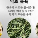 만경약초