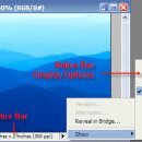 Document Window Status Bar Elements 이미지
