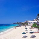 버뮤다(BERMUDA)