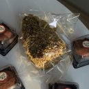 고양이묭실 | 이직 후 근황ㅣ수습기간 끝ㅣ재택출근 왔다갔다ㅣ요가 그리고 고양이