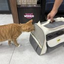 한결같은 동물병원 이미지