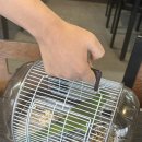 구이 약수터 | [후기💬] 부산 오션뷰 맛집 “약수터화로애구이”