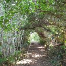 제주 올레길 9코스 이미지