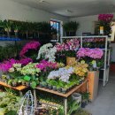 꽃가지화원 이미지