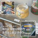 제주도 동문시장 소품샵 추천 <b>호지</b>네 소품샵 찐후기