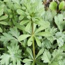 조은요양보호사교육원 이미지