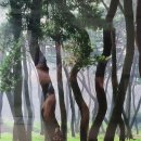 정선파인케어빌 이미지