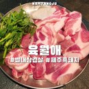 제주흑돼지 | 남양주 별내 맛집 육월애 제주흑돼지 삼겹살 후기