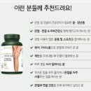 뉴포뮬러 | 연골에 좋은 영양제 선택 기준과 카트리지 포뮬러 후기