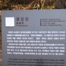 토끼의점심