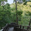 부산치유의숲 방문자센터 | [공지] 부산 치유의 숲 후기.