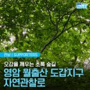 🍀오감을 깨우는 초록 숲길_월출산 도갑지구 자연탐방로 이미지