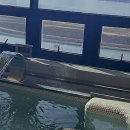 생수사우나 이미지