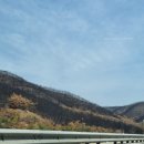 1박 2일 충북 단양여행 - 도담삼봉, 고수동굴, 수양개 빛터널, 제천 치유의 숲) + 영주 떡볶이 투어