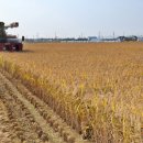 전라북도농업기술원 이미지