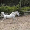 락복싱클럽 이미지