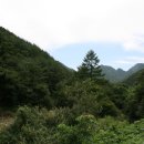 H9378 Daum카페