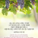 ➕ 요한복음 17:9 – 17:19 제자들을 보호하시고 악에서 지키소서 이미지