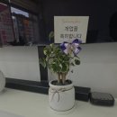 진컴퍼니