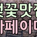 카페이띠