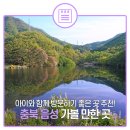 음성시장 고객지원센터 | 충북 음성 가볼 만한 곳, 아이와 함께 방문하기 좋은 곳 추천!
