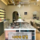 멋진안경 | 안경 [나에게 안경] 이쁜 안경테 많은 곳, 0원 안경테도 있는데 심지어 이쁘다고? 멋진 안경 맞춘 솔직후기
