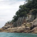 바래도 Daum백과