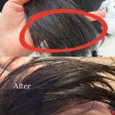살롱루크 아베다 헤어살롱 | 서대문역 미용실 파인트리 헤어살롱 아베다 클리닉 하이 레이어드컷 후기