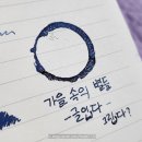 가을속의 별들