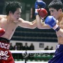 C.M. 복싱 이미지