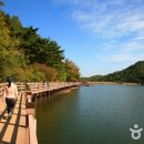 금오산도립공원 올레길 화장실 티스토리