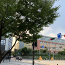 이디야커피강남율현점