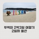 대왕암공원1(무인계수기) | 대구 - 울산 - 포항 혼자 뚜벅이 여행일기 (2일차 울산)