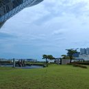 (알약)미국 조지아 사태의 진실은 이렇다!! 이미지