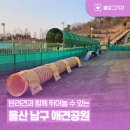 애견운동공원(동절기) 이미지