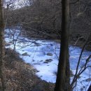 금산1세천 이미지