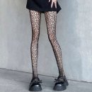 스타킹 이미지