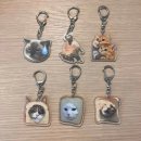 냥냥이네 이미지