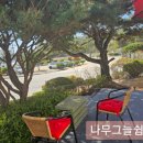 우리까페