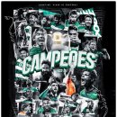 수비디오 이미지