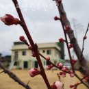 해밀유치원 | 속초요양원 해밀요양원주간보호 주차 상담시간