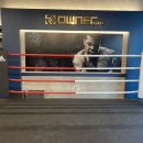 오너 복싱 이미지