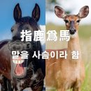 ◆＜一讀＞지록위마(指鹿爲馬)가 된 더민주당의 탄핵 중독 이미지